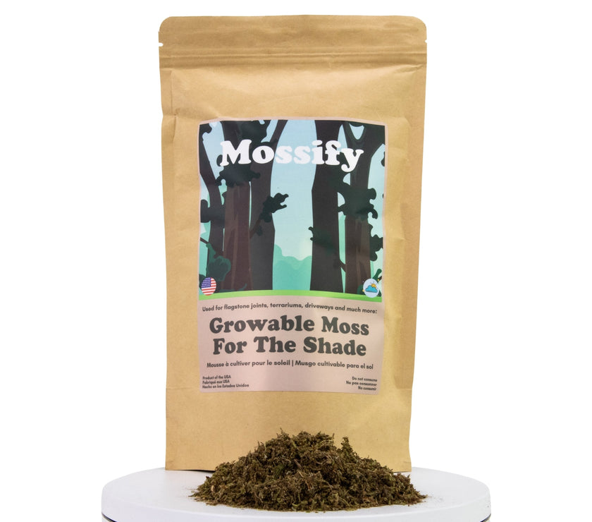 Growable Moss for the Shade