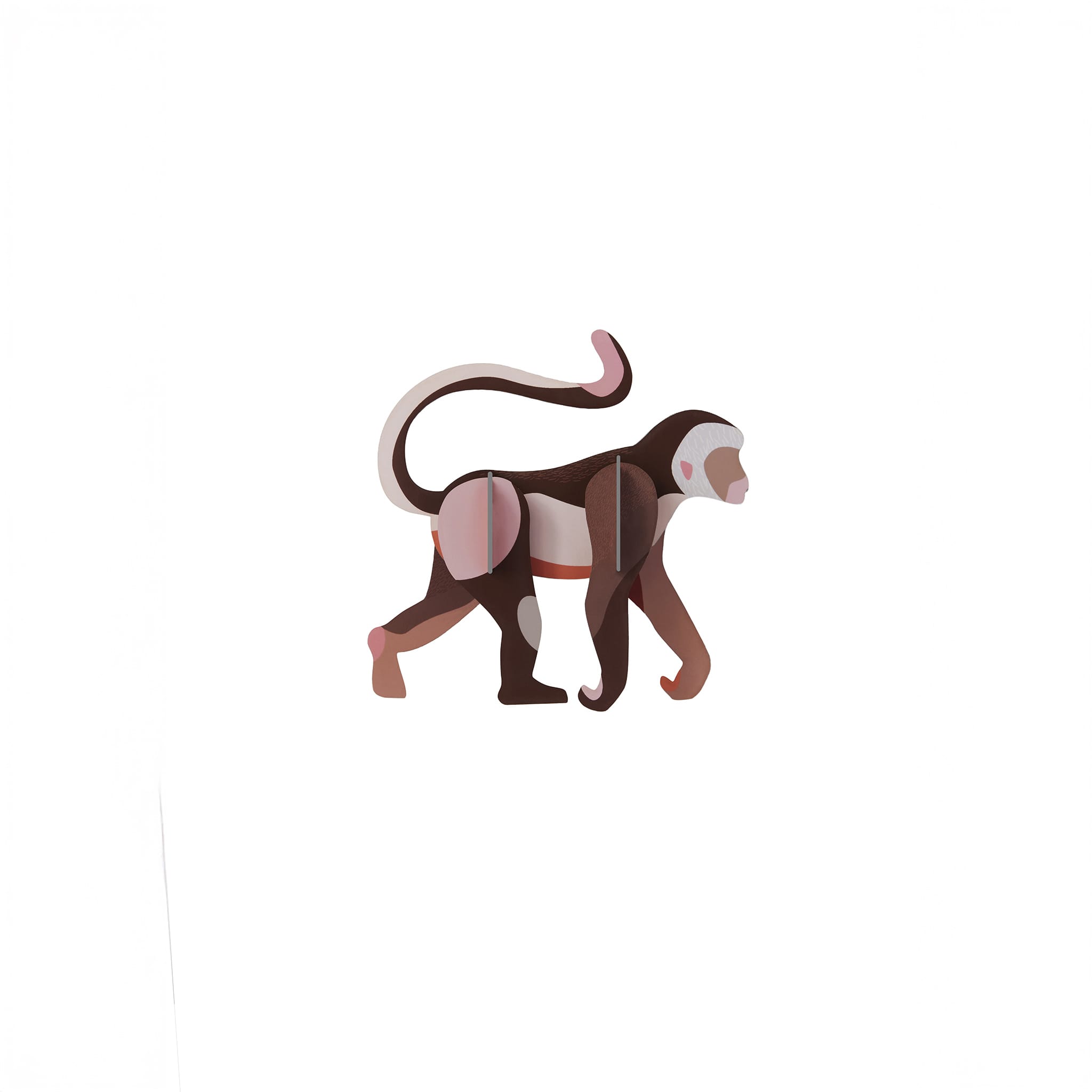 Wild Animal - Monkey