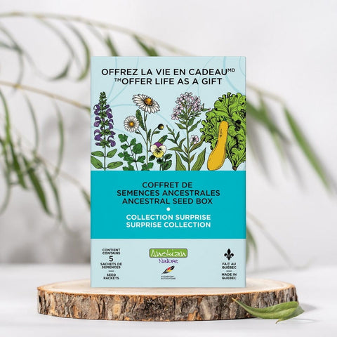 Coffret | Collection Surprise