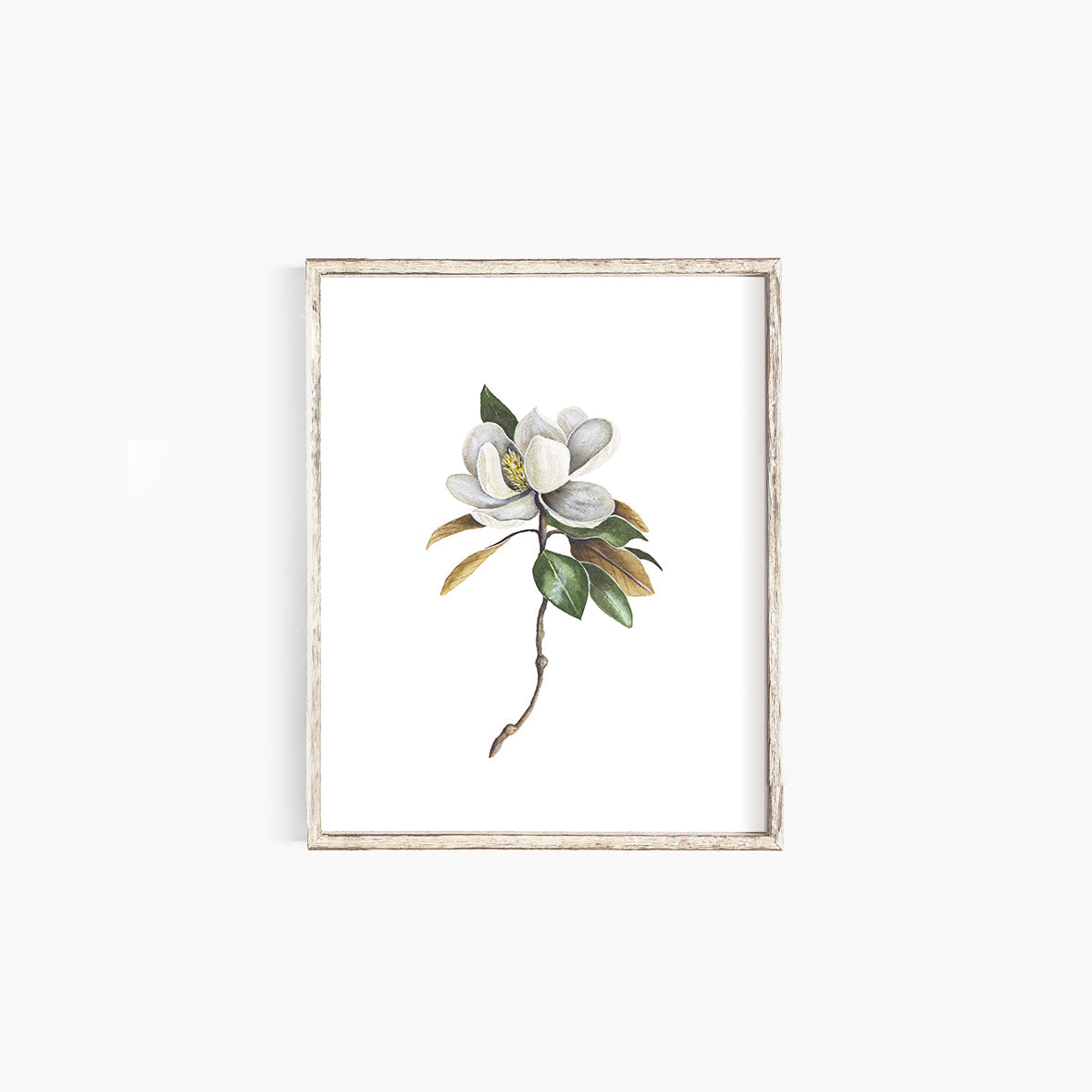 Magnolia Emma Allen Design Studio Print art-noise.myshopify.com magnolia