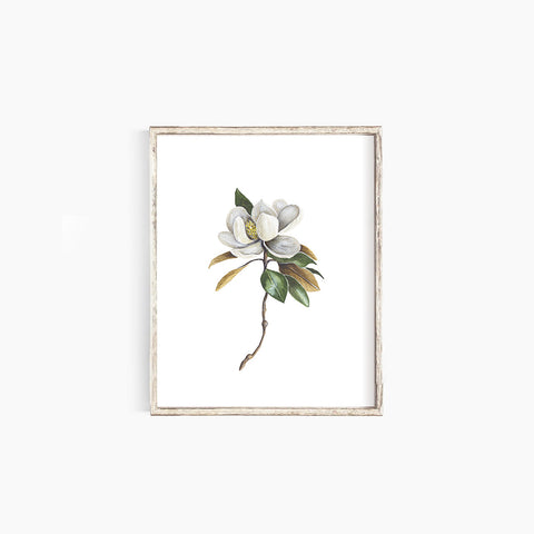 Magnolia Emma Allen Design Studio Print art-noise.myshopify.com magnolia
