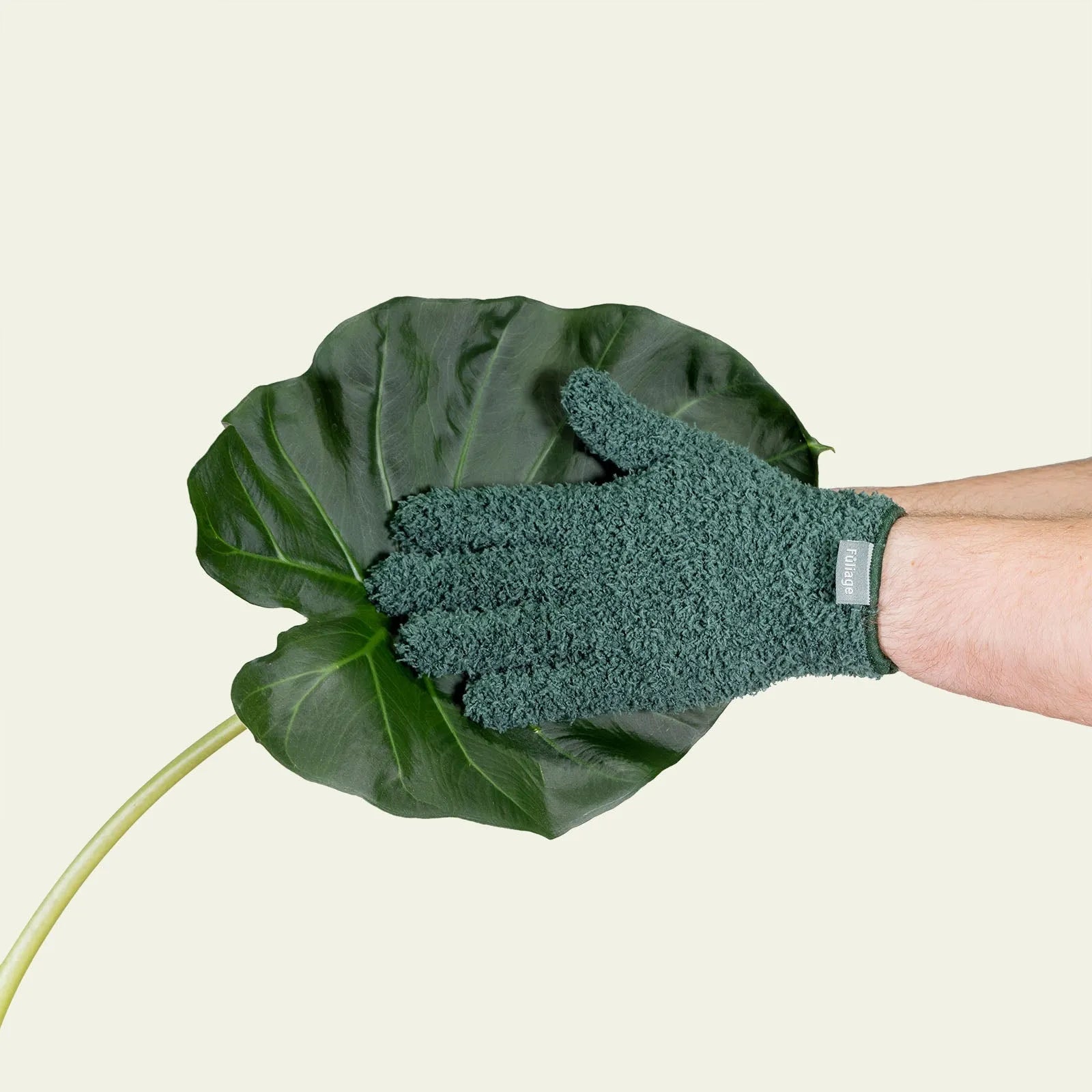 Microfiber Plant Dusting Gloves Fuliage Gloves art-noise.myshopify.com microfiber-plant-dusting-gloves Microfiber Plant Dusting Gloves Fuliage Gloves art-noise.myshopify.com microfiber-plant-dusting-gloves