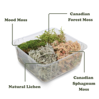 Revita-Moss Mixed Pack