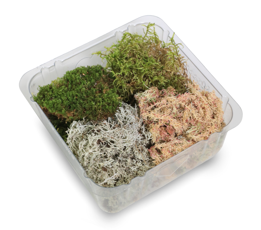 Revita-Moss Mixed Pack