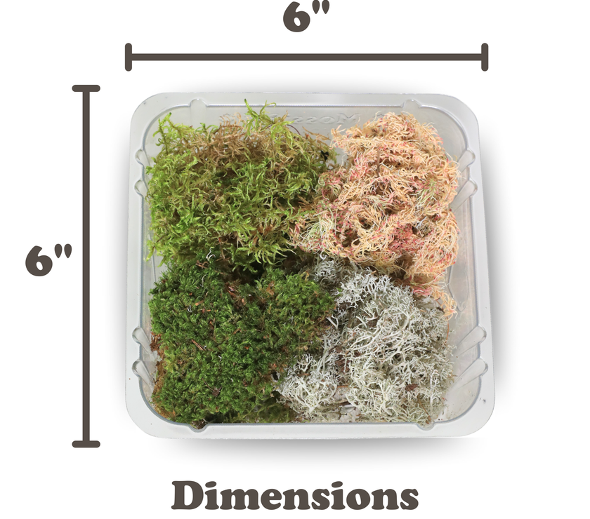 Revita-Moss Mixed Pack