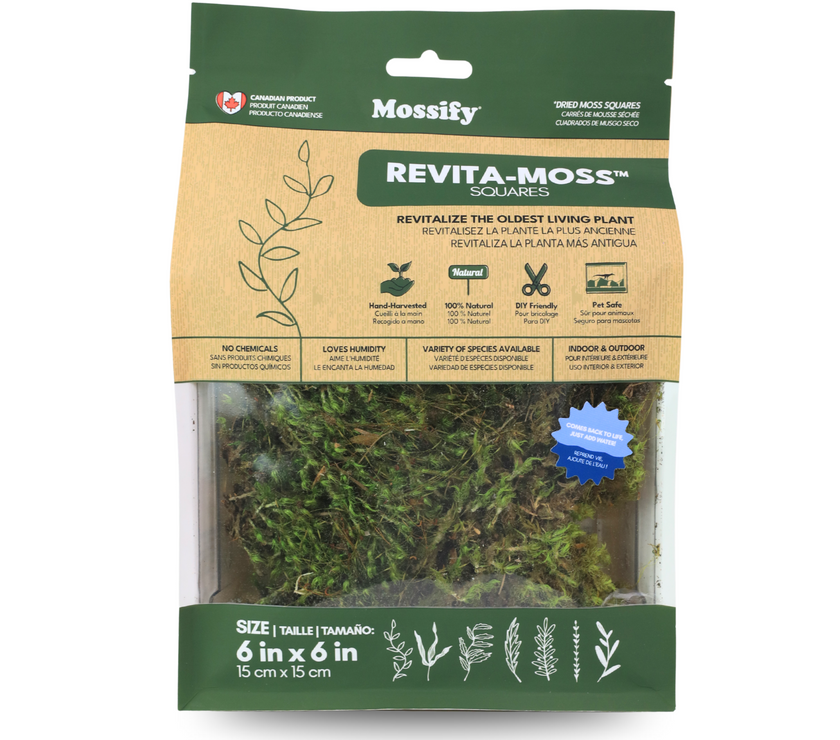 Mood Moss - Revita-Moss (Dicranum)