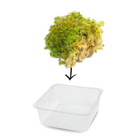 Natural Canadian Sphagnum Moss - Revita-Moss