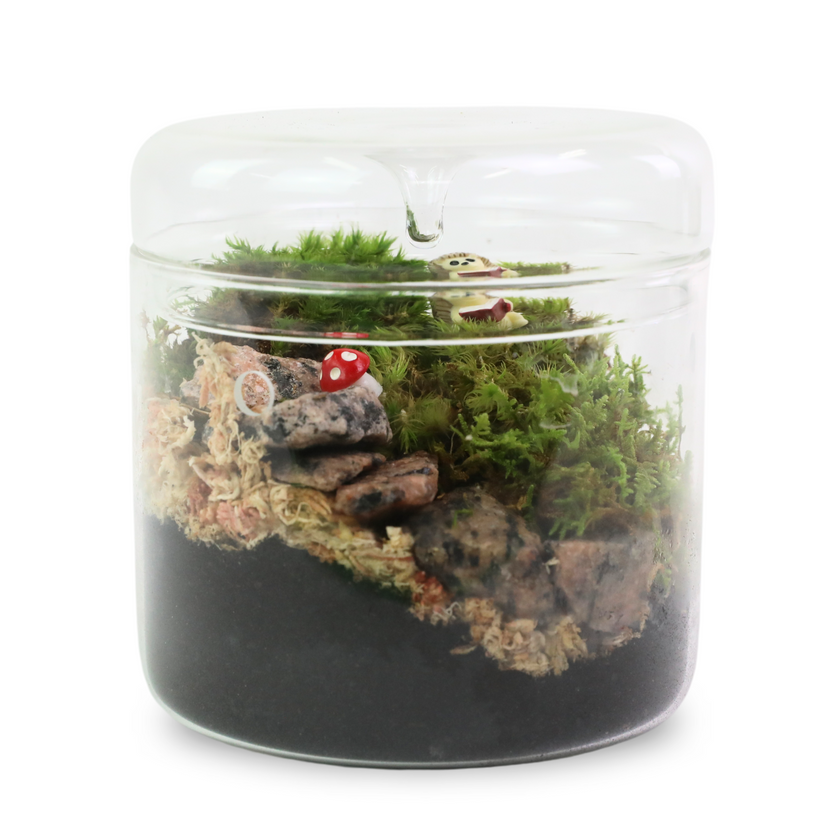 Mood Moss - Revita-Moss (Dicranum)