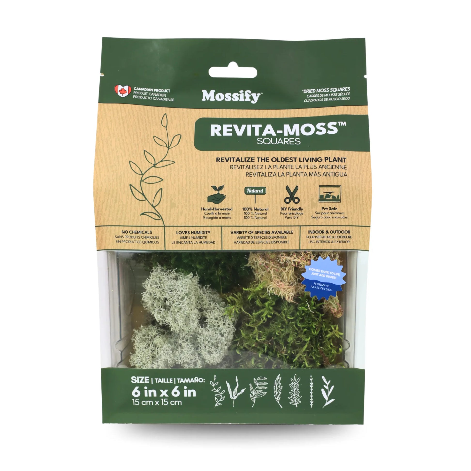 Revita-Moss Mixed Pack Mossify moss art-noise.myshopify.com revita-moss-mixed-pack Revita-Moss Mixed Pack Mossify moss art-noise.myshopify.com revita-moss-mixed-pack