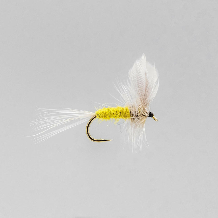 Neptune Dry Flies