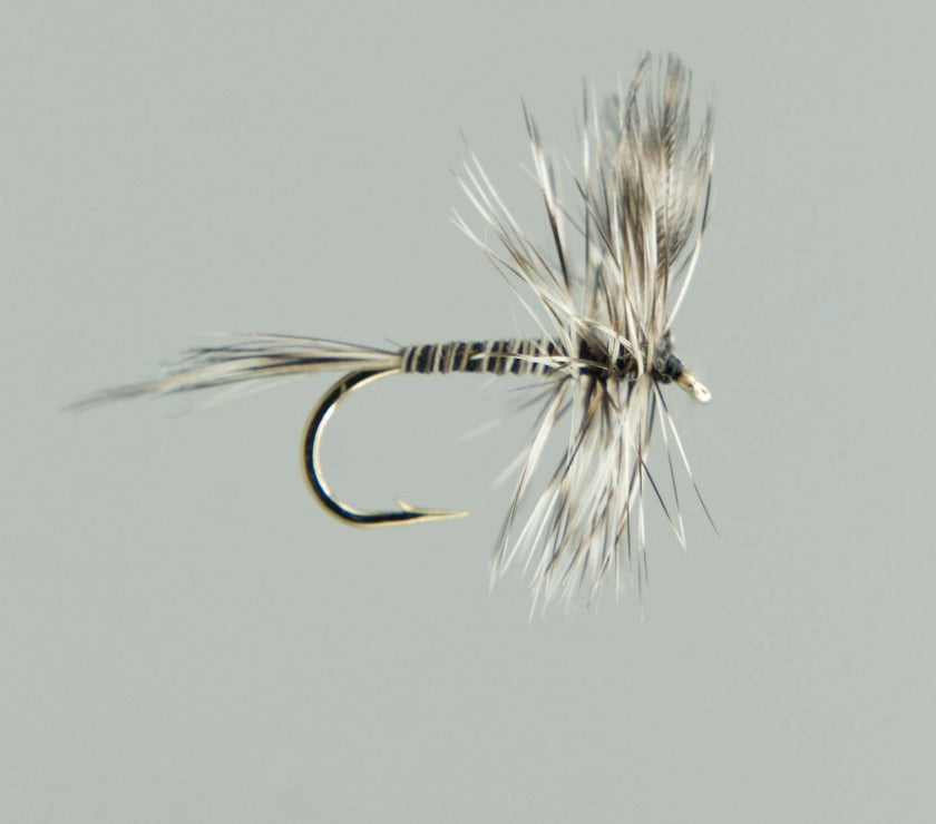 Neptune Dry Flies