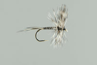 Neptune Dry Flies