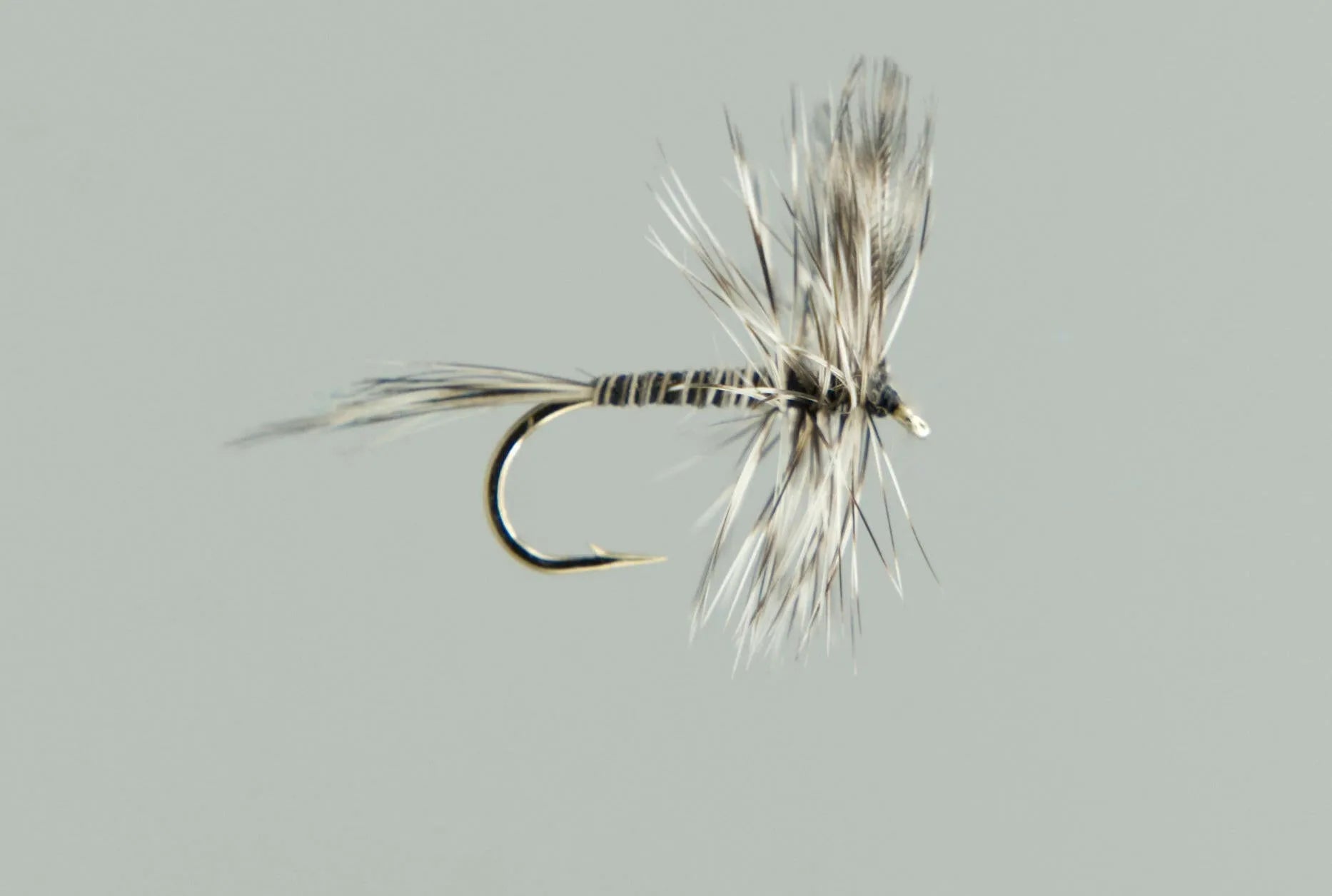 Neptune Dry Flies Stony Tackle Shack artificial fishing flies art-noise.myshopify.com neptune-dry-flies Neptune Dry Flies Stony Tackle Shack artificial fishing flies art-noise.myshopify.com neptune-dry-flies