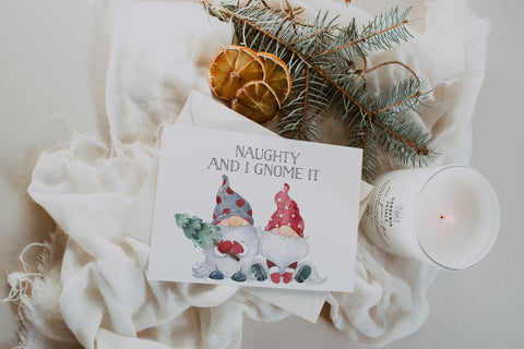 Naughty and I Gnome It