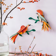 Obi Nüline Distribution Cardboard Cutouts art-noise.myshopify.com obi Obi Nüline Distribution Cardboard Cutouts art-noise.myshopify.com obi