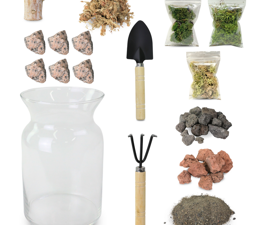 Mossify Terrarium Kit