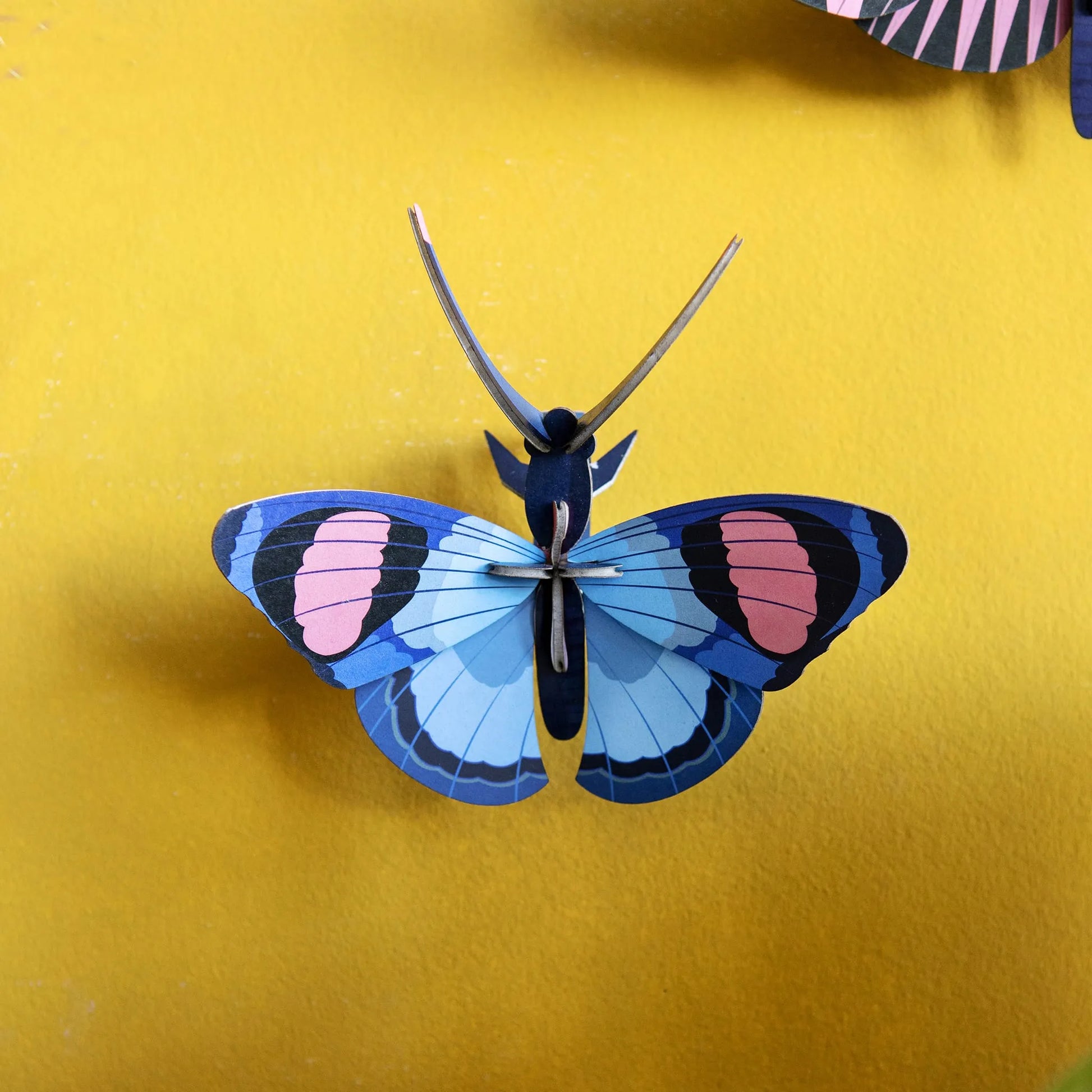 Peacock Butterfly Nüline Distribution Cardboard Cutouts art-noise.myshopify.com peacock-butterfly Peacock Butterfly Nüline Distribution Cardboard Cutouts art-noise.myshopify.com peacock-butterfly