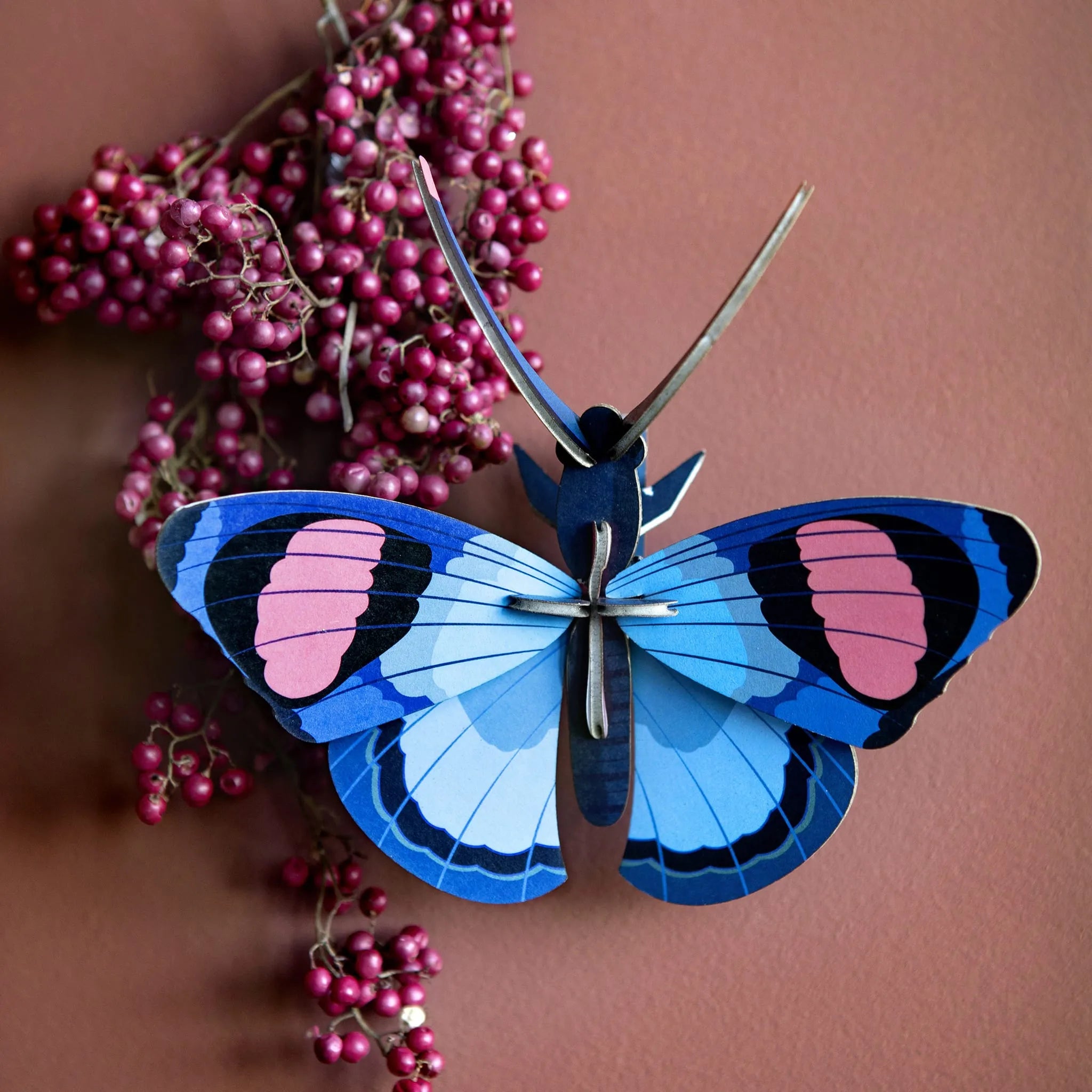 Peacock Butterfly Nüline Distribution Cardboard Cutouts art-noise.myshopify.com peacock-butterfly Peacock Butterfly Nüline Distribution Cardboard Cutouts art-noise.myshopify.com peacock-butterfly