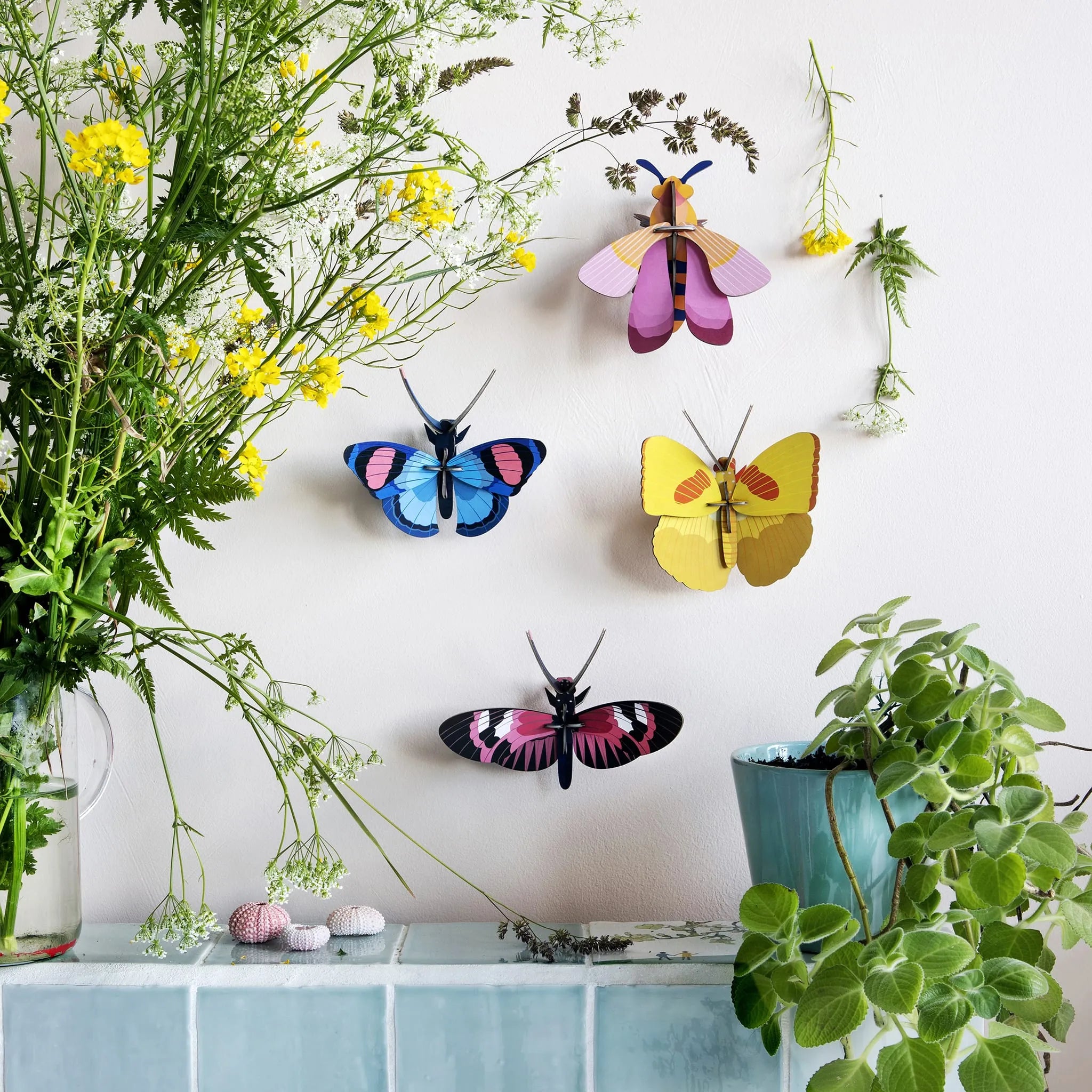 Peacock Butterfly Nüline Distribution Cardboard Cutouts art-noise.myshopify.com peacock-butterfly Peacock Butterfly Nüline Distribution Cardboard Cutouts art-noise.myshopify.com peacock-butterfly