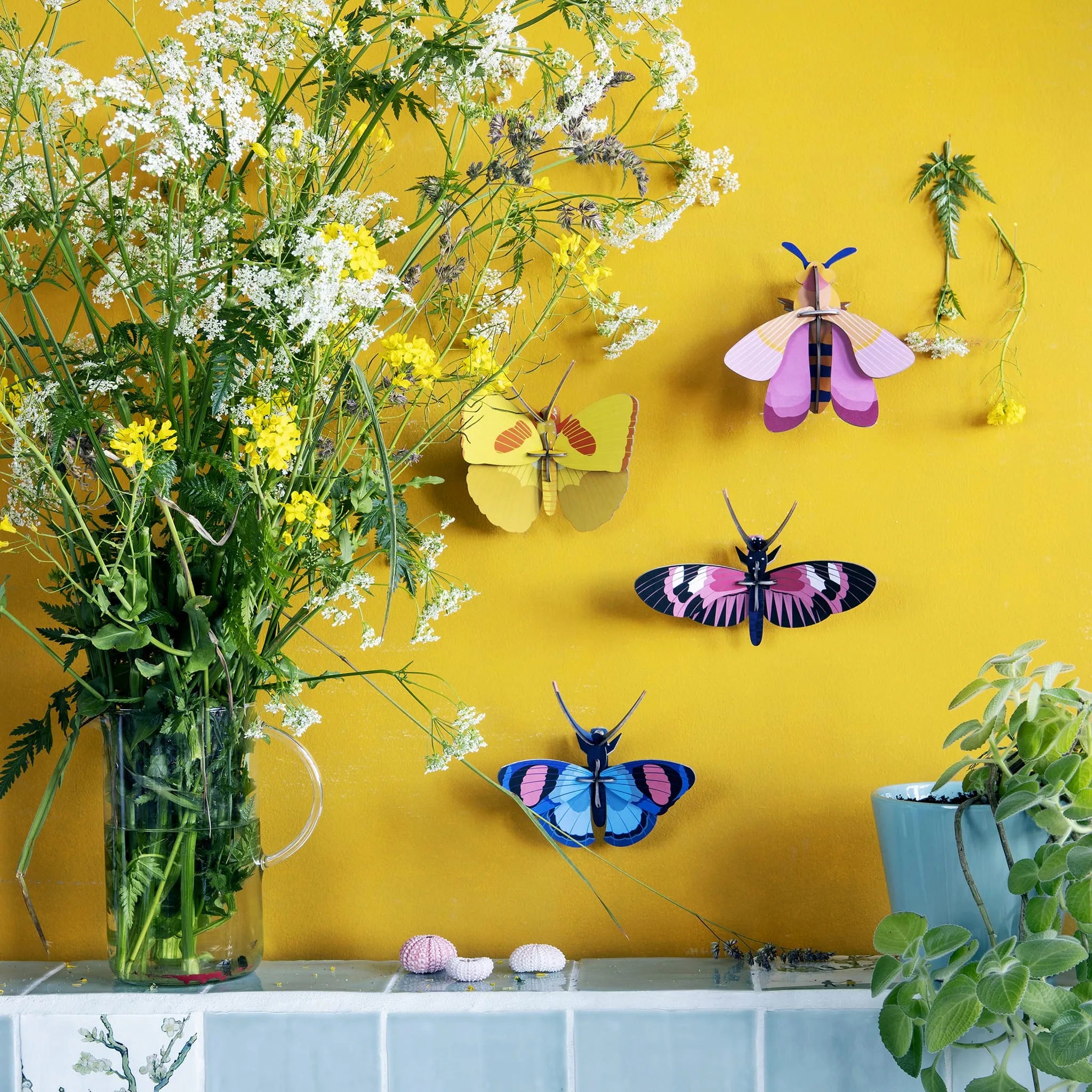 Peacock Butterfly Nüline Distribution Cardboard Cutouts art-noise.myshopify.com peacock-butterfly Peacock Butterfly Nüline Distribution Cardboard Cutouts art-noise.myshopify.com peacock-butterfly