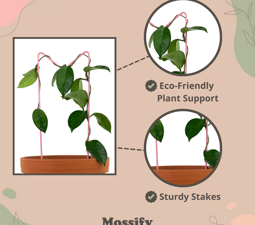 "M" Metal Trellis