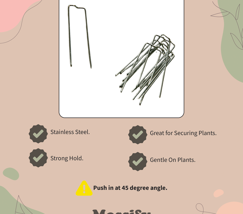 Floral Pins - Greening Pins - Moss Pole Pins