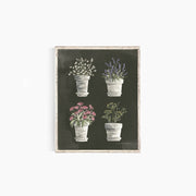 Potted Herb Chart Emma Allen Design Studio Print art-noise.myshopify.com potted-herb-chart