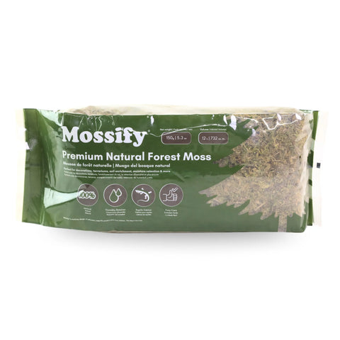 Premium Natural Forest Moss Mossify product_type art-noise.myshopify.com premium-natural-forest-moss Premium Natural Forest Moss Mossify  art-noise.myshopify.com premium-natural-forest-moss