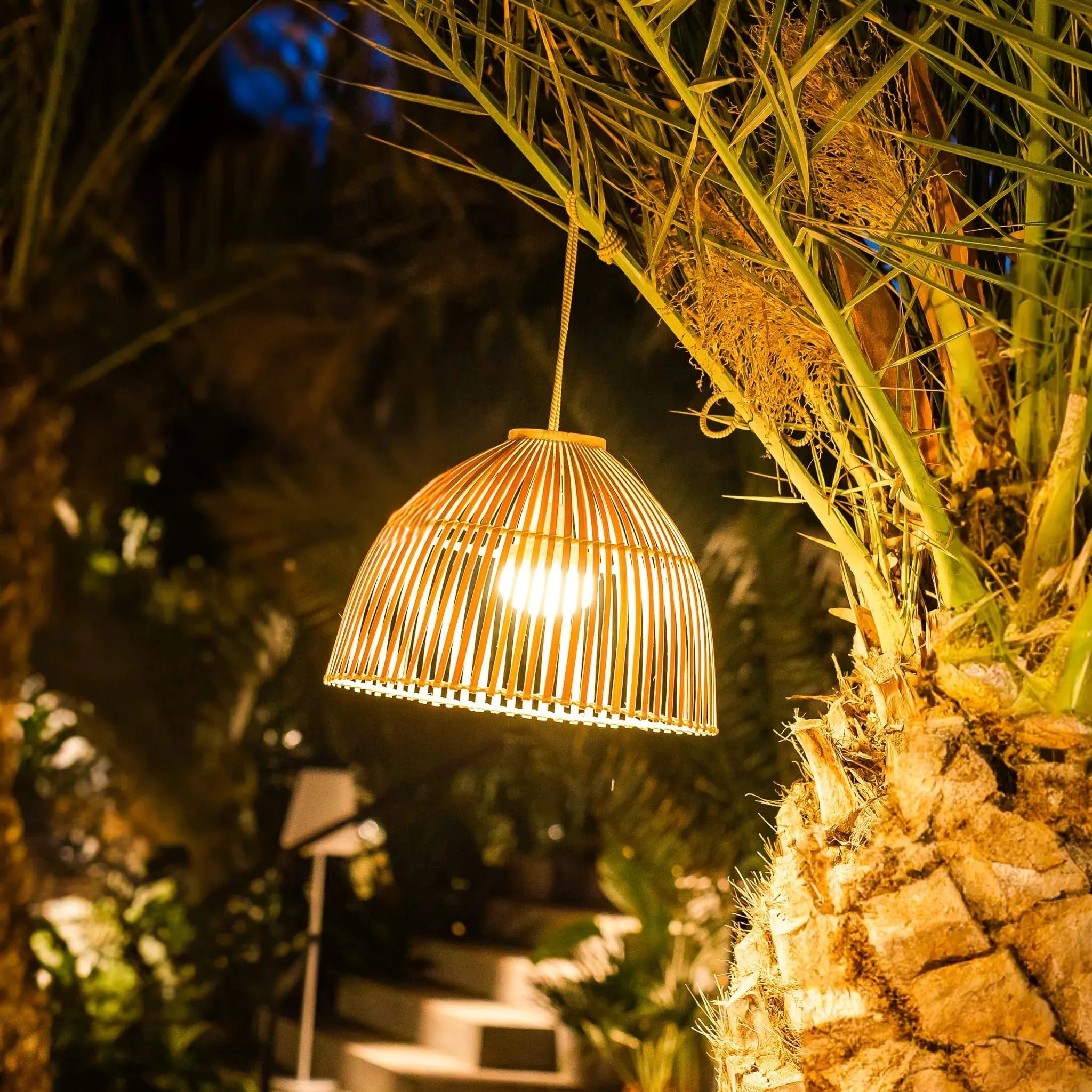 Reona Nüline Distribution Night Lights & Ambient Lighting art-noise.myshopify.com reona Reona Nüline Distribution Night Lights & Ambient Lighting art-noise.myshopify.com reona Reona Nüline Distribution Night Lights & Ambient Lighting art-noise.myshopify.com reona