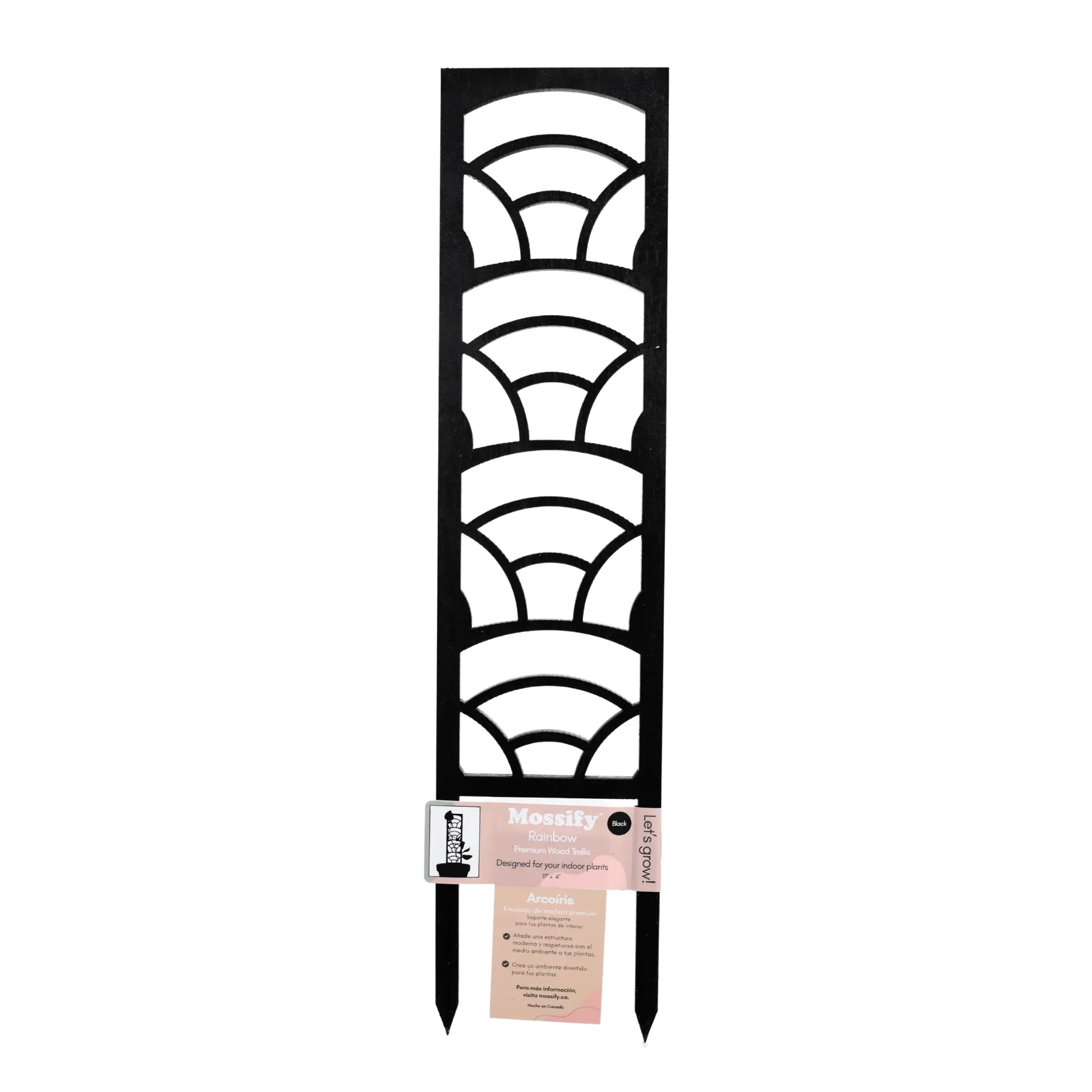 Rainbow Wooden Trellis Mossify Accessories art-noise.myshopify.com rainbow-wooden-trellis Rainbow Wooden Trellis Mossify Accessories art-noise.myshopify.com rainbow-wooden-trellis