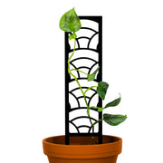 Rainbow Wooden Trellis Mossify Accessories art-noise.myshopify.com rainbow-wooden-trellis Rainbow Wooden Trellis Mossify Accessories art-noise.myshopify.com rainbow-wooden-trellis