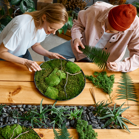 Premium Preserved Reindeer Moss