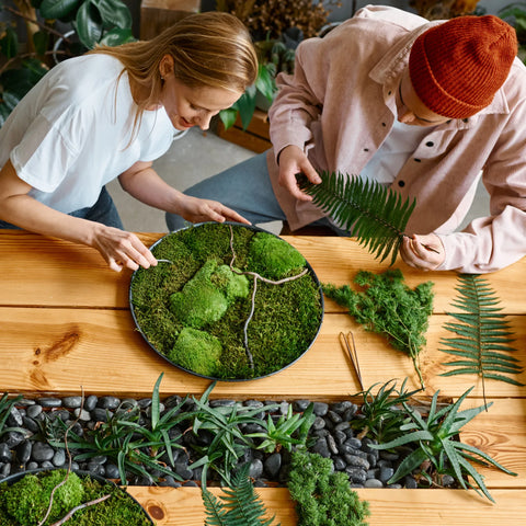 Premium Preserved Reindeer Moss Mossify product_type art-noise.myshopify.com premium-preserved-reindeer-moss Premium Preserved Reindeer Moss Mossify  art-noise.myshopify.com premium-preserved-reindeer-moss