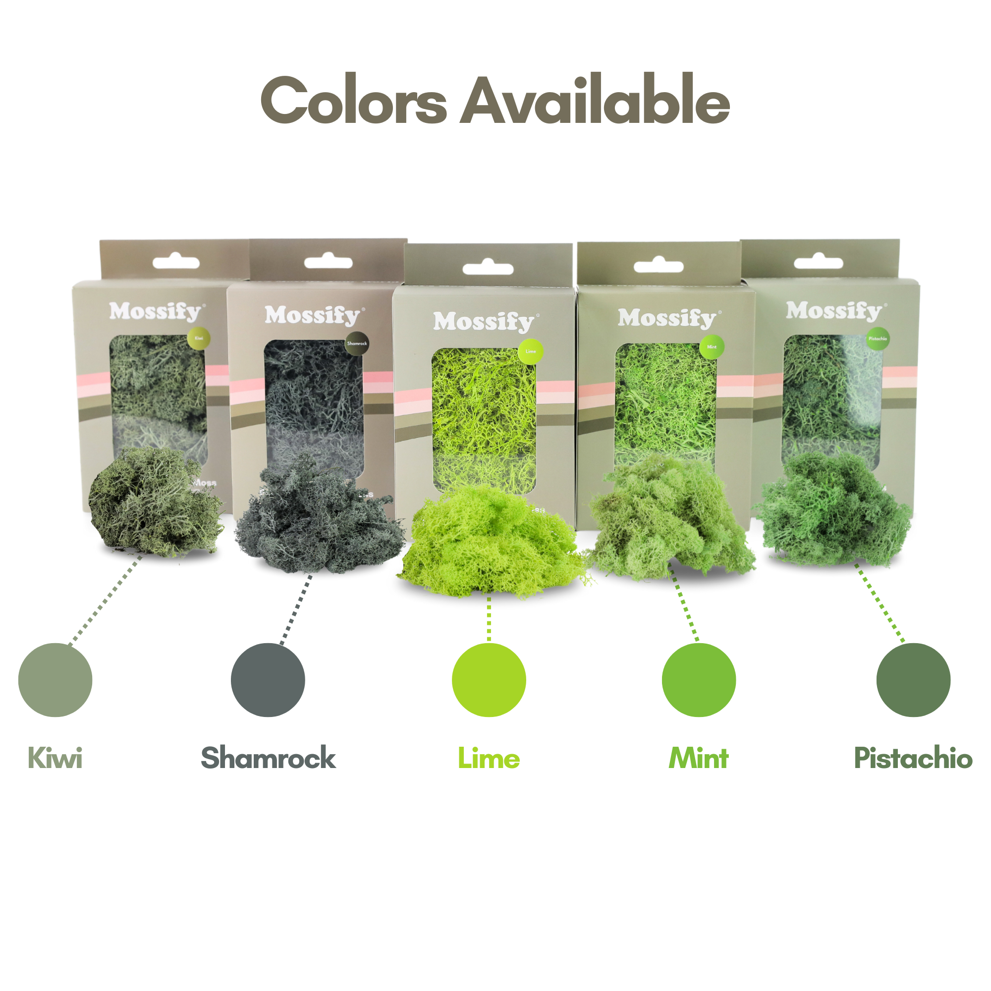 Premium Preserved Reindeer Moss