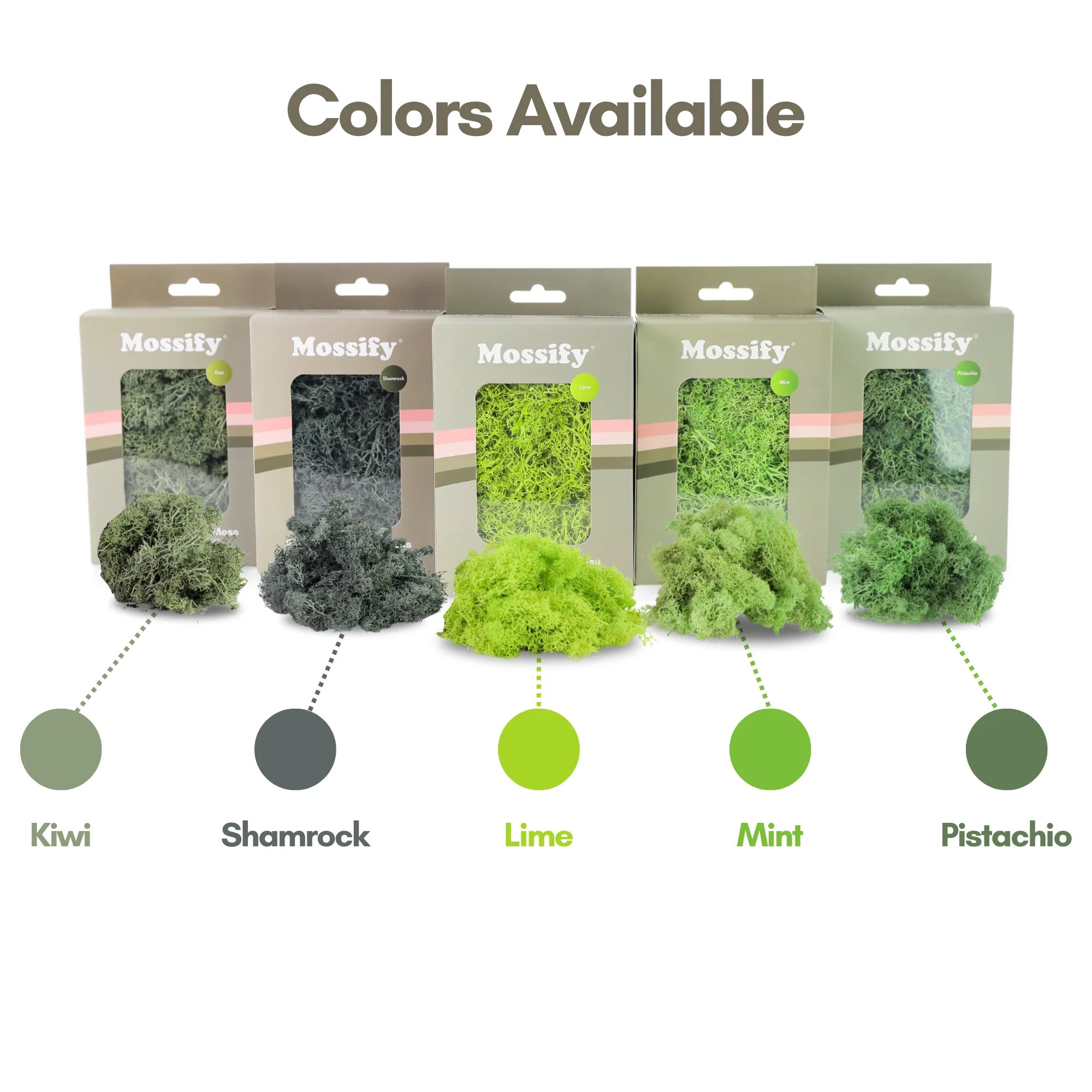 Premium Preserved Reindeer Moss Mossify product_type art-noise.myshopify.com premium-preserved-reindeer-moss Premium Preserved Reindeer Moss Mossify  art-noise.myshopify.com premium-preserved-reindeer-moss