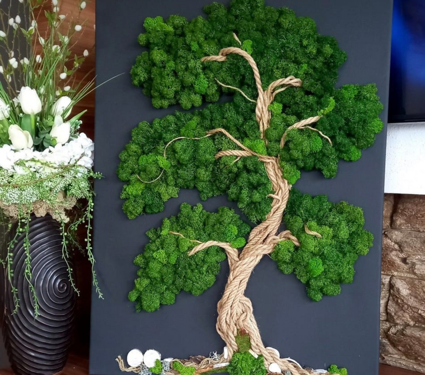 Premium Preserved Reindeer Moss
