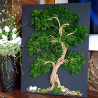 Premium Preserved Reindeer Moss