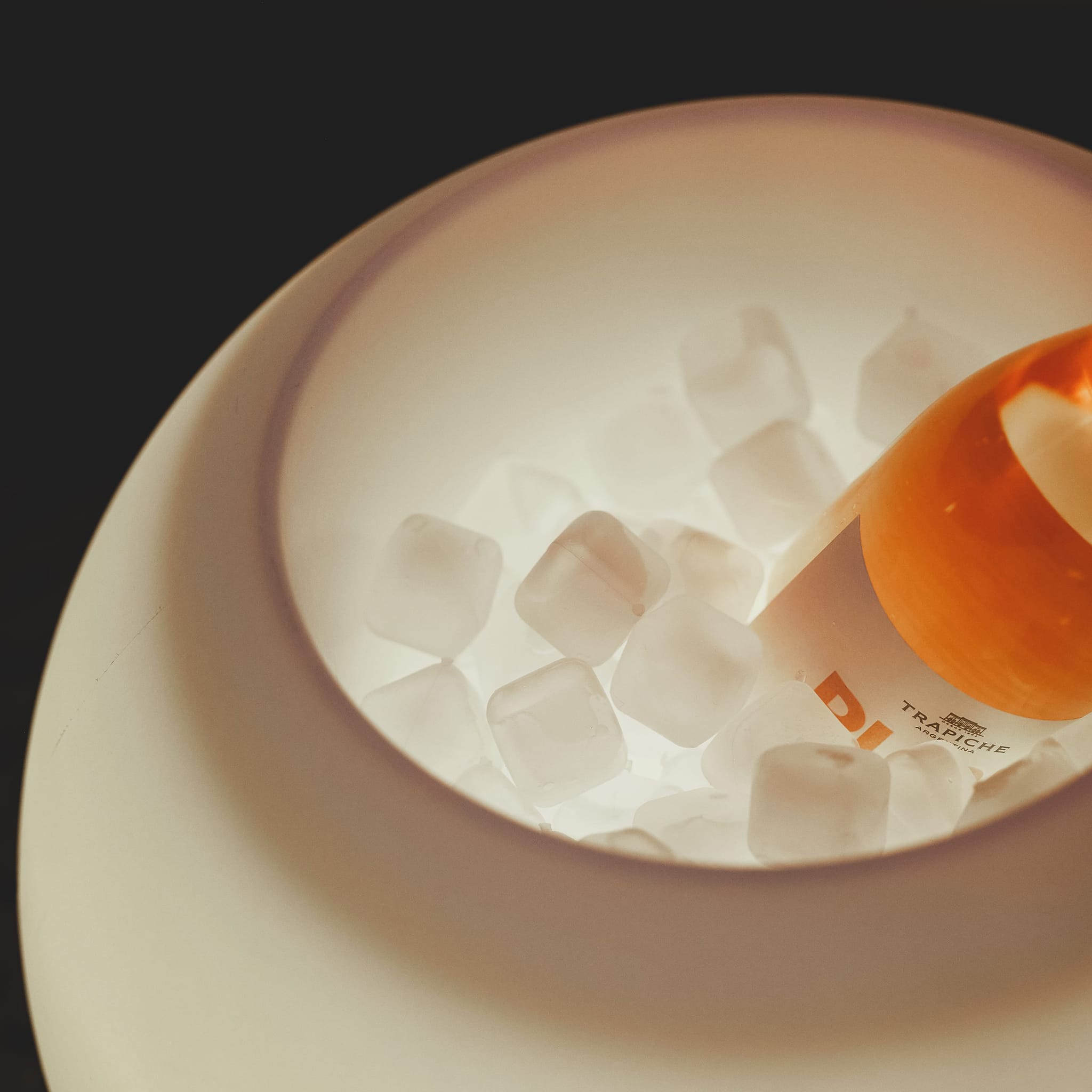 Reusable Ice Cubes