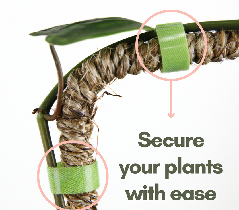 Reusable Plant Tape