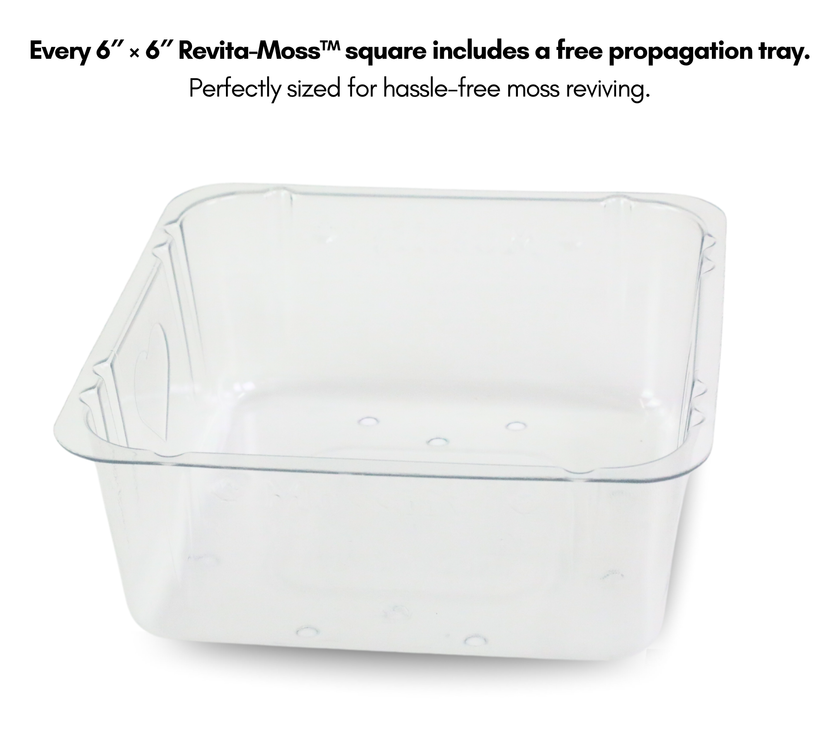 Revita-Moss Mixed Pack
