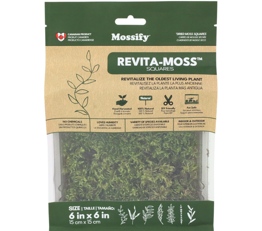 Natural Canadian Forest Moss - Revita-Moss (Pleurozium schreberi)