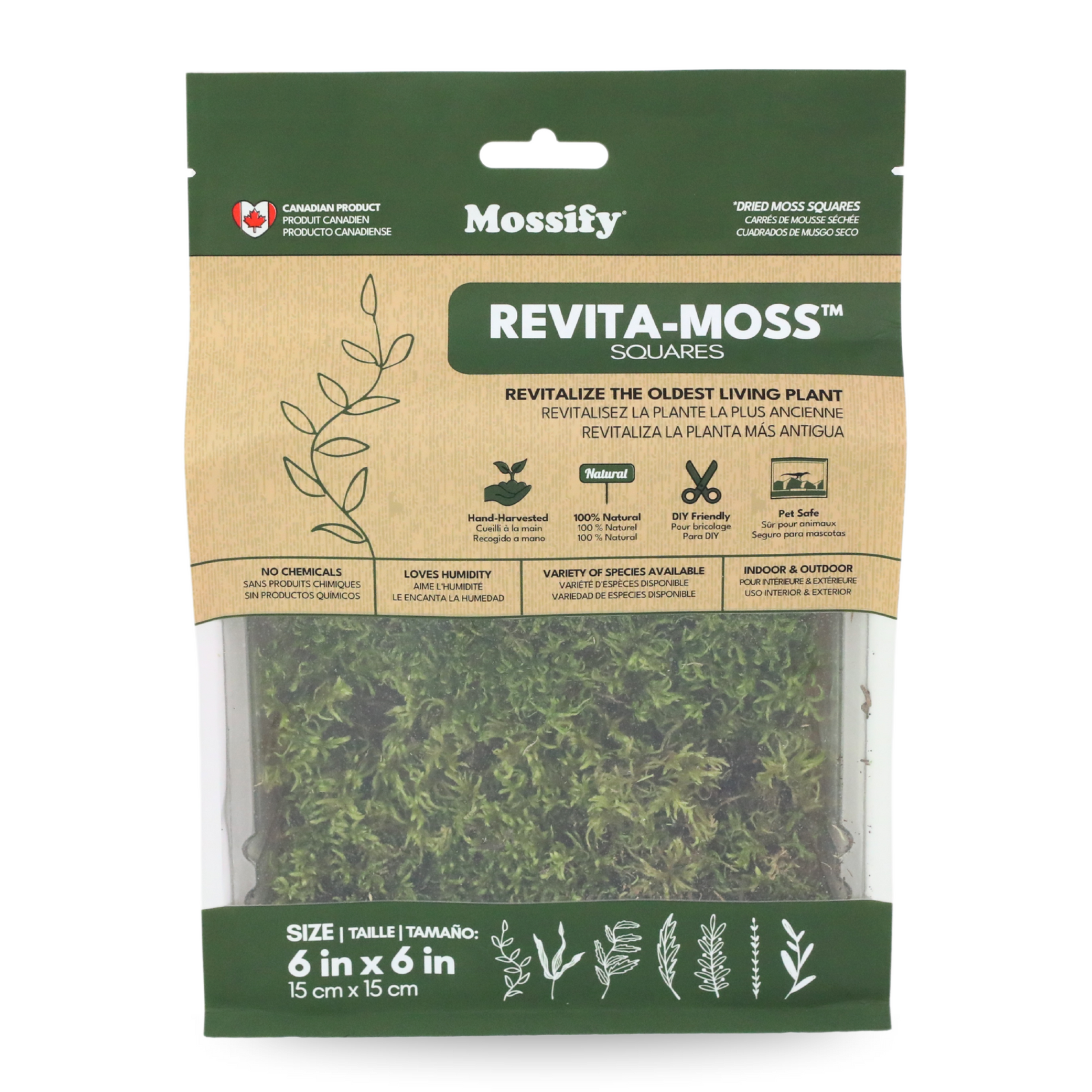 Natural Canadian Forest Moss - Revita-Moss (Pleurozium schreberi) Mossify product_type art-noise.myshopify.com natural-canadian-forest-moss-revita-moss-pleurozium-schreberi