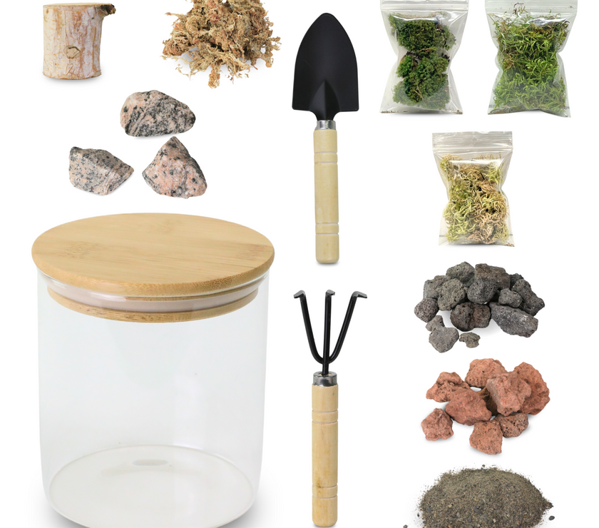 Mossify Terrarium Kit