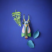 Sakura Beetle