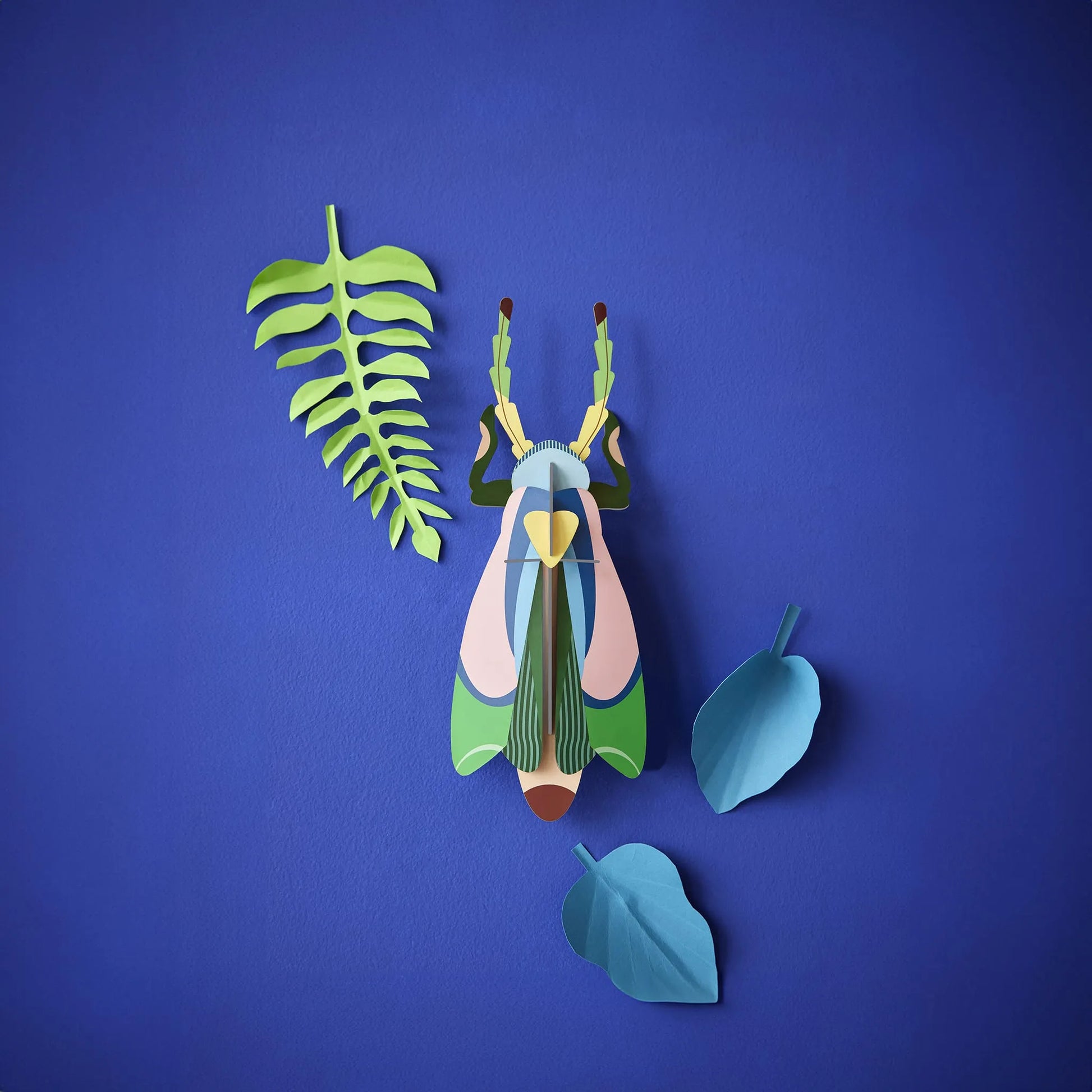 Sakura Beetle Nüline Distribution Cardboard Cutouts art-noise.myshopify.com sakura-beetle Sakura Beetle Nüline Distribution Cardboard Cutouts art-noise.myshopify.com sakura-beetle