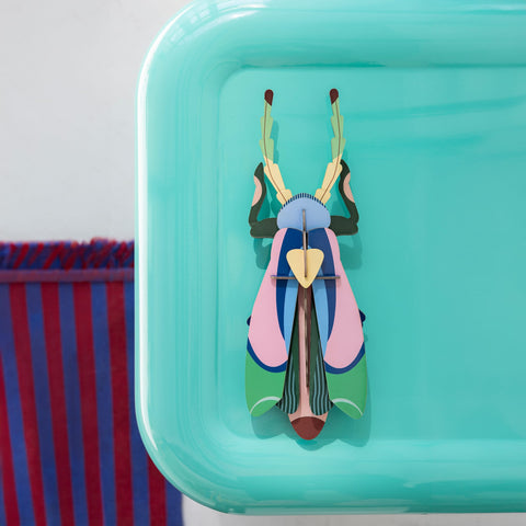 Sakura Beetle Nüline Distribution Cardboard Cutouts art-noise.myshopify.com sakura-beetle