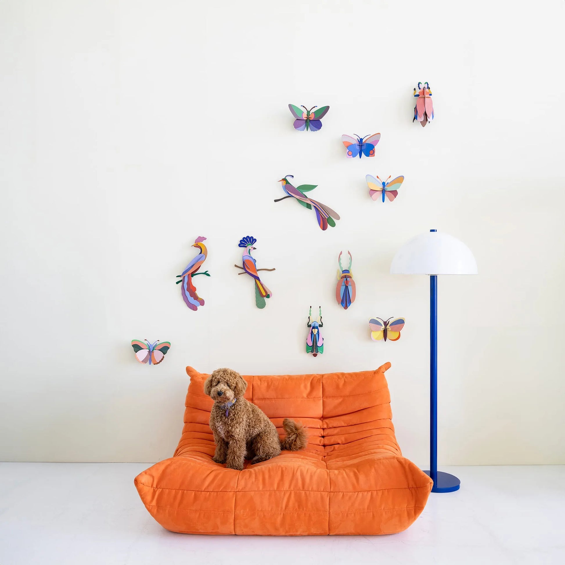 Sakura Beetle Nüline Distribution Cardboard Cutouts art-noise.myshopify.com sakura-beetle Sakura Beetle Nüline Distribution Cardboard Cutouts art-noise.myshopify.com sakura-beetle