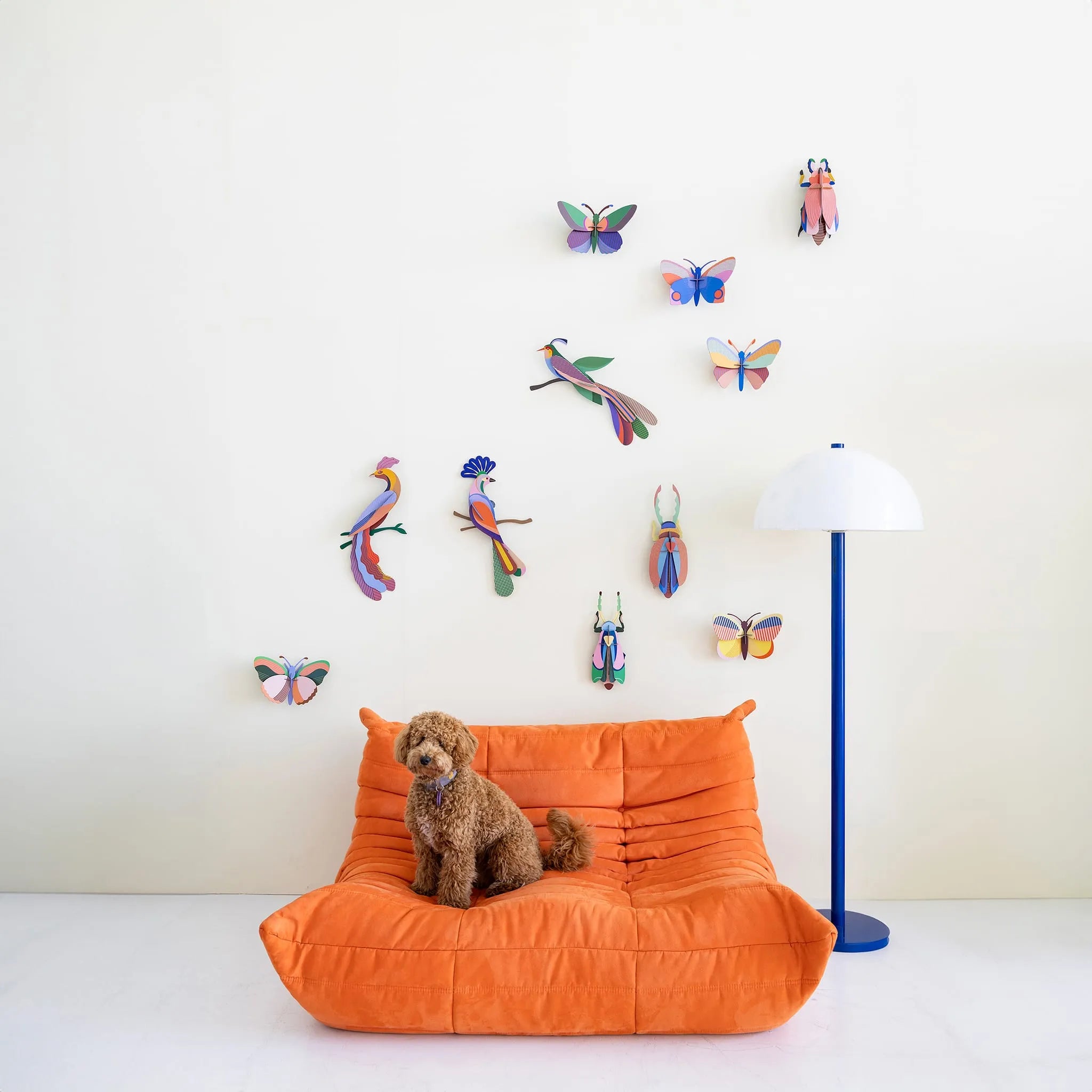 Sakura Beetle Nüline Distribution Cardboard Cutouts art-noise.myshopify.com sakura-beetle Sakura Beetle Nüline Distribution Cardboard Cutouts art-noise.myshopify.com sakura-beetle