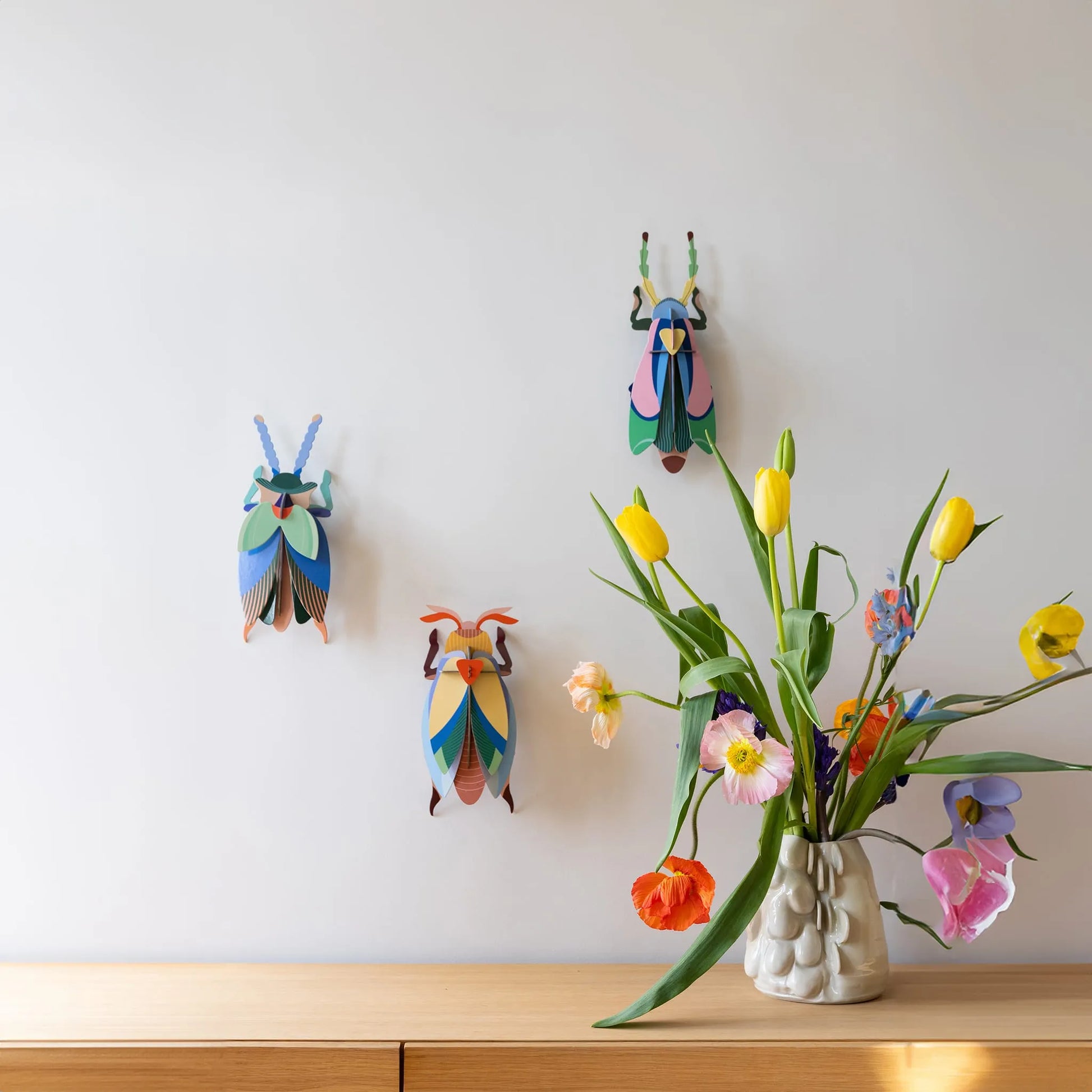 Sakura Beetle Nüline Distribution Cardboard Cutouts art-noise.myshopify.com sakura-beetle Sakura Beetle Nüline Distribution Cardboard Cutouts art-noise.myshopify.com sakura-beetle