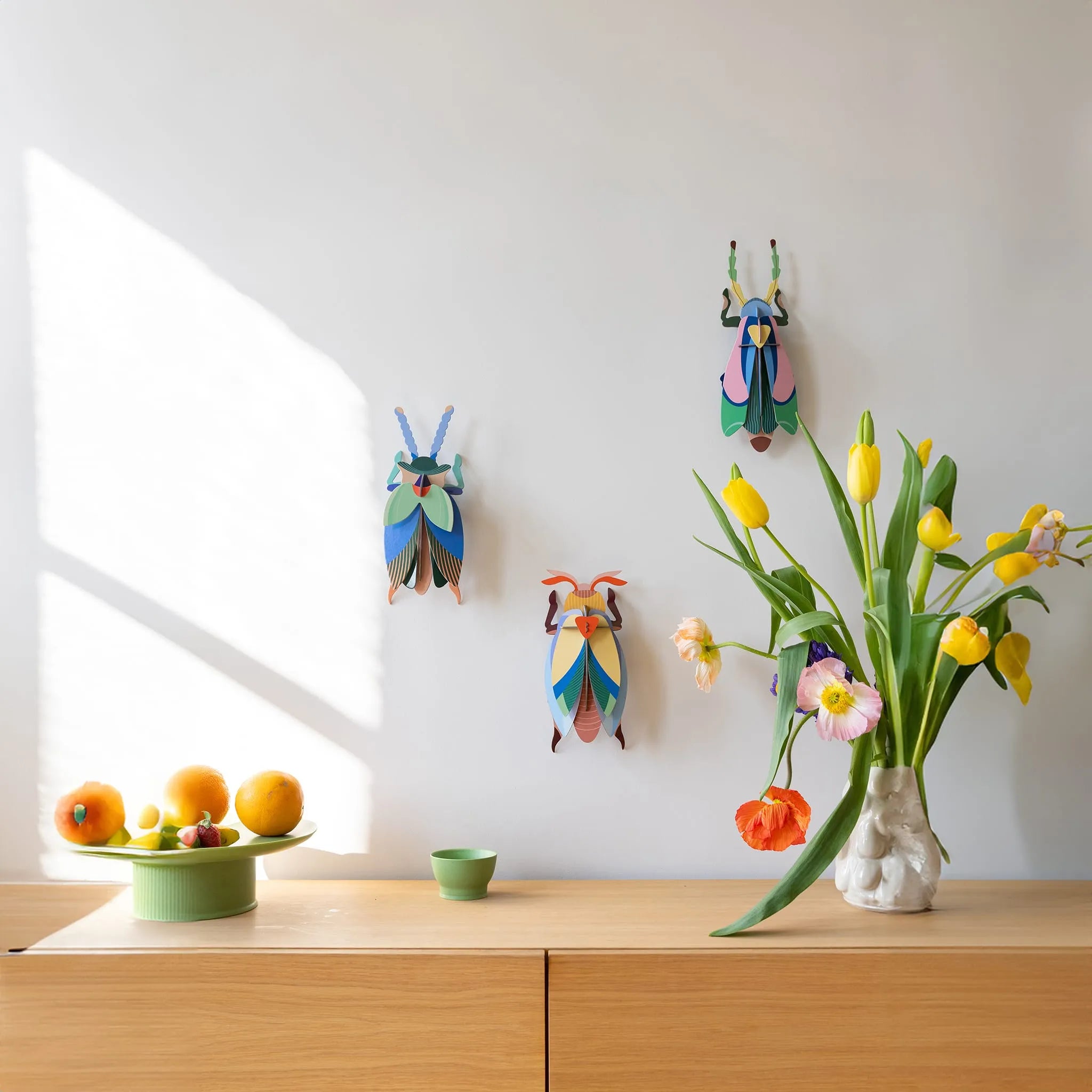 Sakura Beetle Nüline Distribution Cardboard Cutouts art-noise.myshopify.com sakura-beetle Sakura Beetle Nüline Distribution Cardboard Cutouts art-noise.myshopify.com sakura-beetle